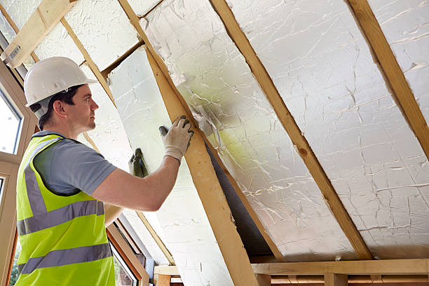 Best Eco-Friendly Insulation Solutions  in USA